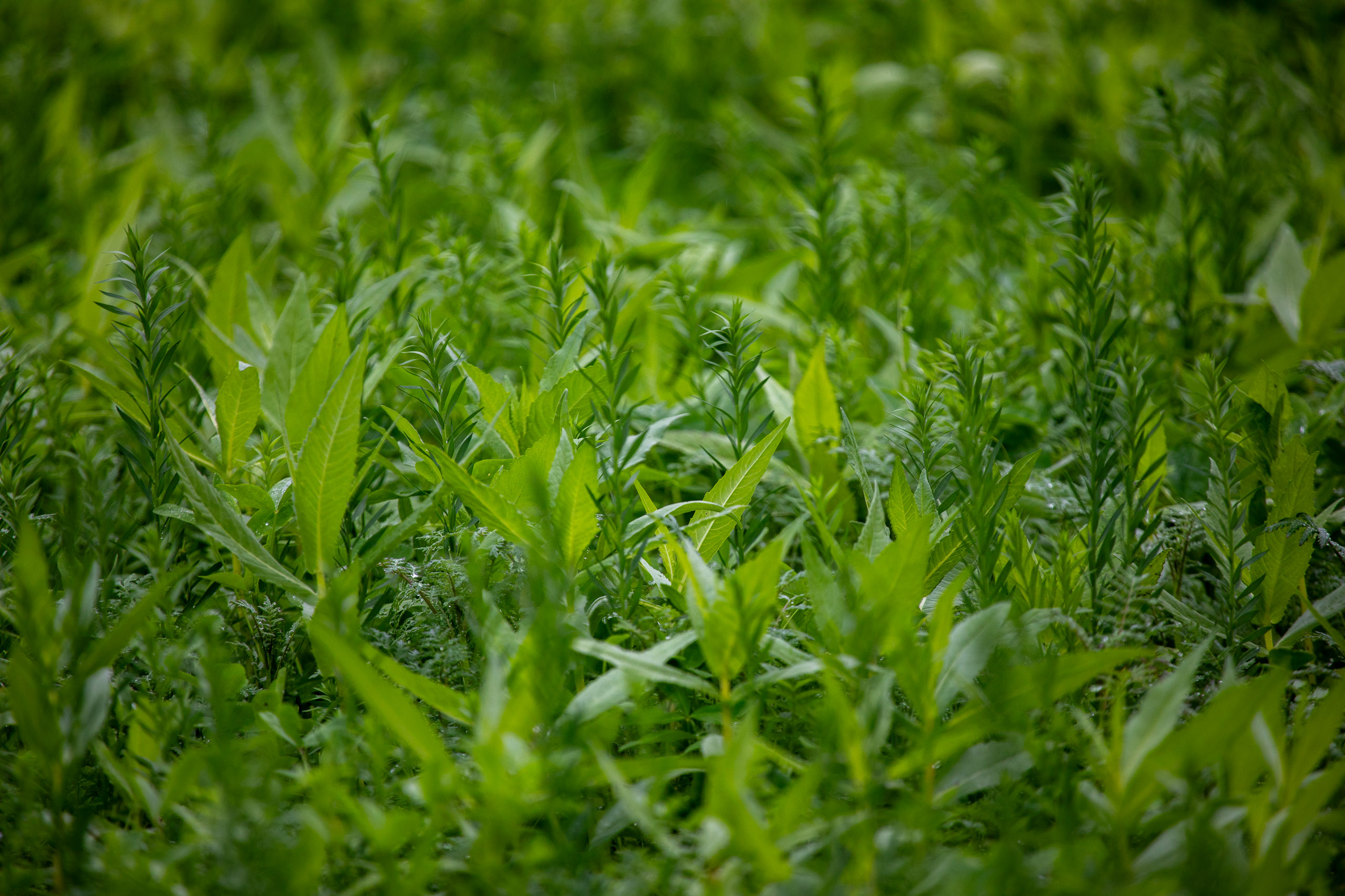 20231015103847 RD4 4738